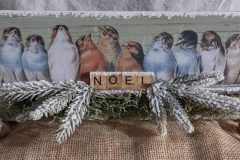 NOEL